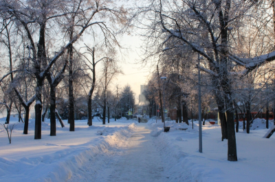 Сильнейшие морозы ожидаются в Новосибирске: озвучена дата