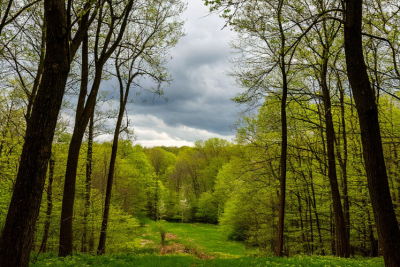 Ветер валит с ног: татарстанцев предупреждают о резком ухудшении погоды 26/04/2026 &ndash; Новости