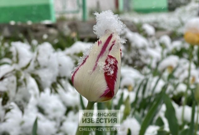 В Татарстане испортилась погода, но скоро будет тепло