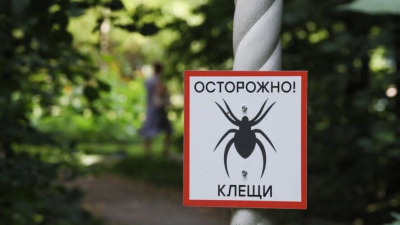 В Татарстане с начала сезона от клещей пострадали несколько сотен человек 25/04/2026 &ndash; Новости