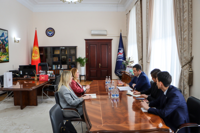 Young woman with shopping bags in a beautiful dress
