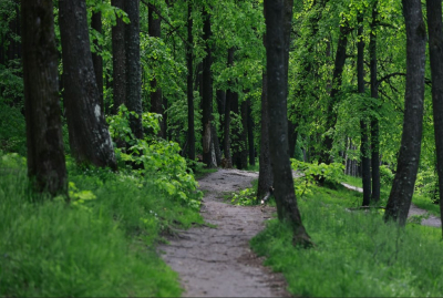 Минниханов поздравил всех татарстанцев с Наврузом и лесников &ndash; с Днем леса