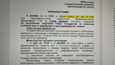 Как Есекеев от имени Токаева поручения раздает