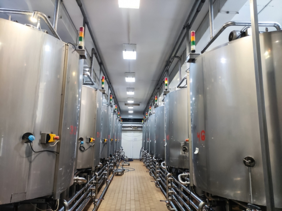 Производство молока в Рязанской области выросло на 5% благодаря новым комплексам