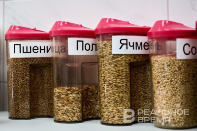 Более 700 тонн ячменя в Татарстане оказались заражены хлебным клещом