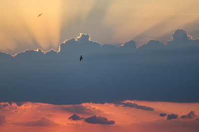 Завтра в&nbsp;Татарстане прогнозируют туман и&nbsp;дождь