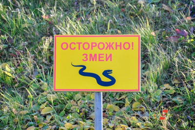 В Рязанской области проснулись змеи