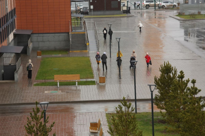 Перейдут ли школьники на онлайн-обучение в связи с ростом ОРВИ