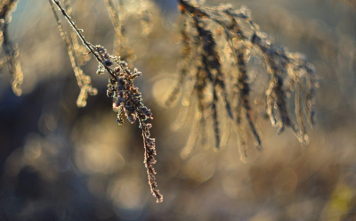 19 сентября: Где ждать заморозков, а где +35 °C