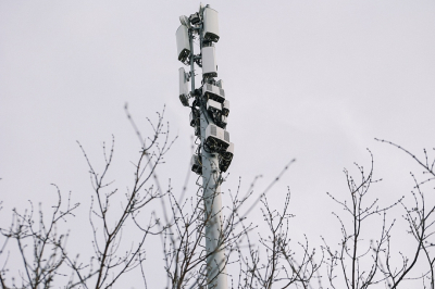 Мошенника из Башкирии с 550 сим-картами задержали в Нижнекамске