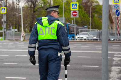 В Томске сотрудники ГАИ помогли бобру перейти дорогу