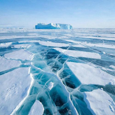 Хранители холода: Ассоциация полярников встречает День Арктики