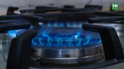 Голубь в дымоходе и сердечный приступ у плиты: ЧП с газом в Татарстане за выходные