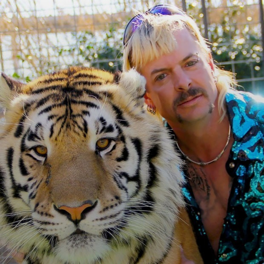 «Король тигров» — сериал, который превратился в мем. Рассказываем, почему