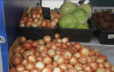 На закупку сельчанам Татарстана элитных семян овощей выделено 30 млн рублей