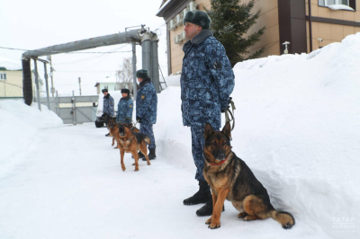 &laquo;Наших собак даже на Кубу отправляют&raquo;: как в РТ выращивают щенков для службы в колониях