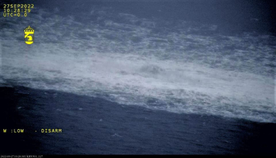 Bild: украинская порномодель участвовала в подрыве &laquo;Северного потока&raquo;