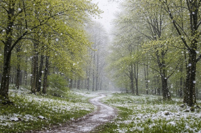 Зима возвращается: в Москве ожидаются заморозки и мокрый снег