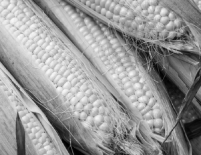 ВСУ применили высокоскоростные БПЛА для атак в ДНР