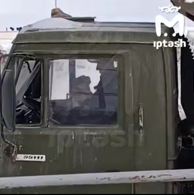 С водителем на заводе в Татарстане, насмерть забившим кота, расторгнут договор