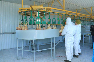 Приоритетом развития определена переработка