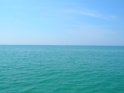 Young woman with shopping bags in a beautiful dress