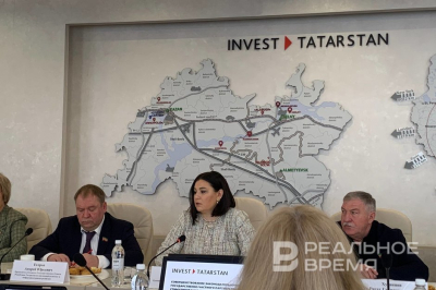 Минуллина предложила доработать регулирование ГЧП в Татарстане
