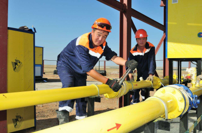 Голубое топливо пришло в дома сельчан