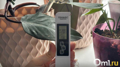 Журналисты выяснили, насколько чистая вода течет из кранов в школах и поликлиниках 12/03/2026 &ndash; Новости