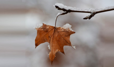 Заморозки до –3 градусов: прогноз погоды в Казахстане на 04 октября