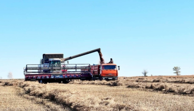 В Северном Казахстане завершена уборка: намолочено 5,6 млн тонн зерна