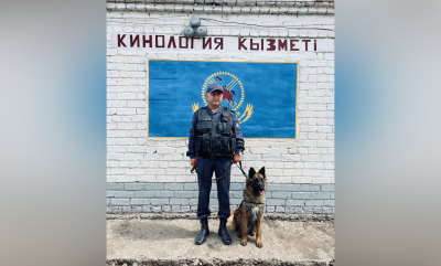 Служебная собака Нацгвардии помогла найти двух пропавших девочек в Павлодаре