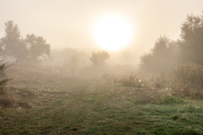 В пятницу в Татарстан придет настоящая весна: температура воздуха поднимется до +13 градусов