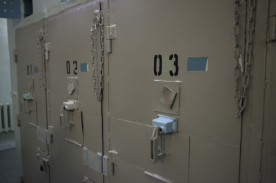 Судья перед приговором агенту Украины из Костромы процитировал Белинского