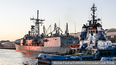 Финский политик Мема потребовал остановить атаки дронов Украины через Финляндию